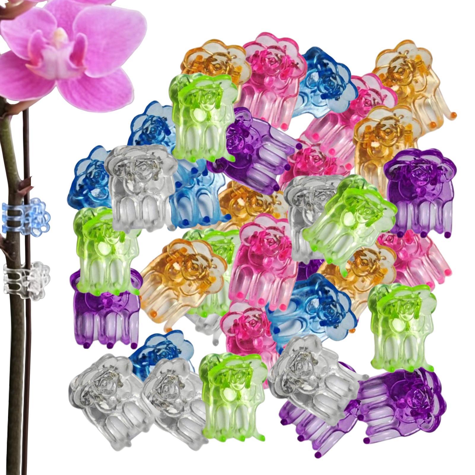 Florist Supp - Pinces pour orchidées, 60 pièces, supports