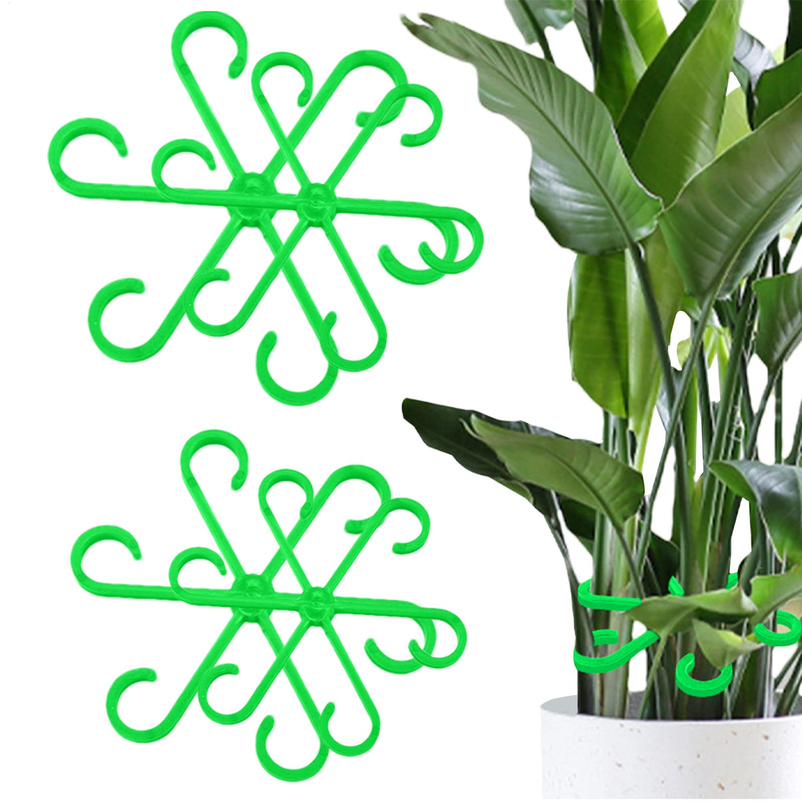 Florist Supp - Lot de 4 pinces de soutien