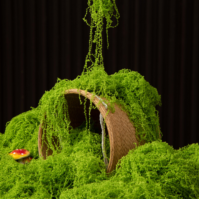 Preserved Moss Sheet - 200g de mousse éternelle pour artisanat