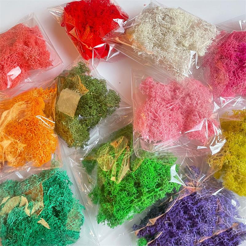 Preserved Moss Sheet - Plantes vertes artificielles en Polyester, 20-200g,