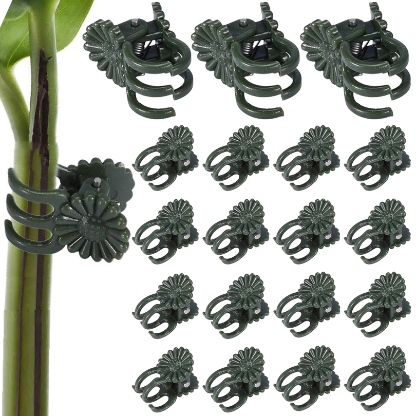 Florist Supp - Pinces à Plantes de Vigne, Support