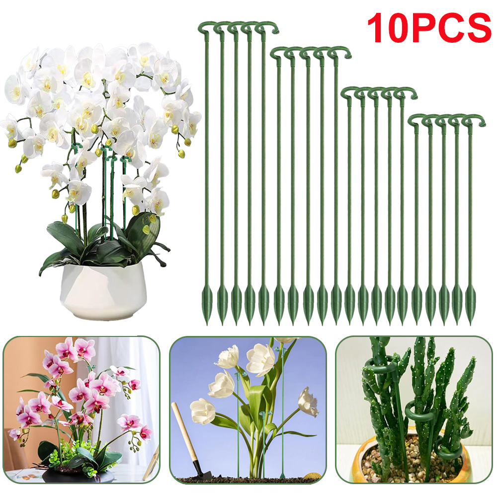 Florist Supp - 5/10 piquets de support pour plantes,