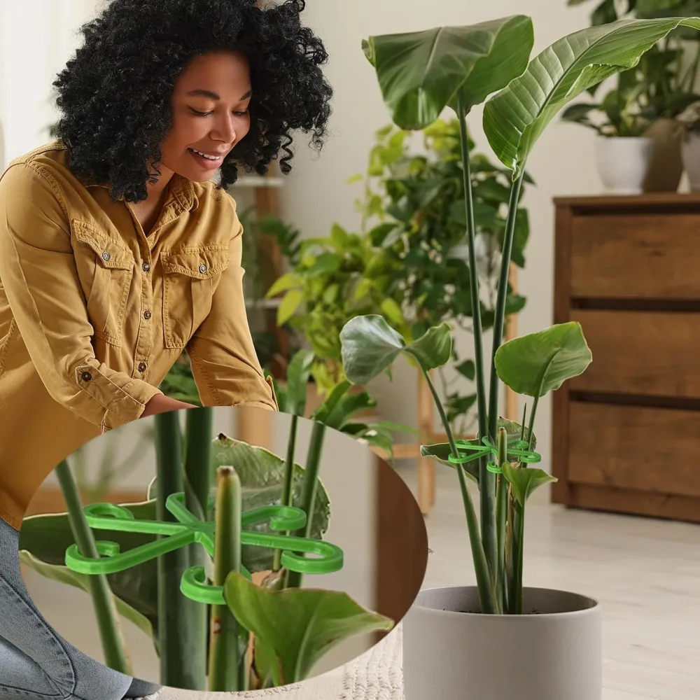 Piquets de Support de tige de  - Florist Supp avis et prix