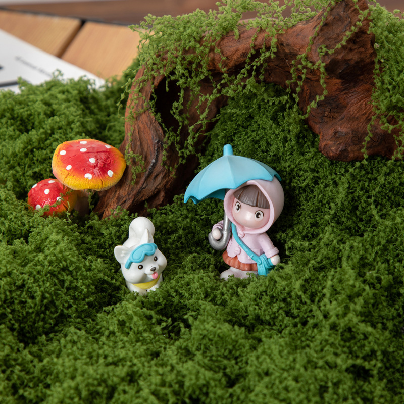 200g de mousse éternelle pour  - Preserved Moss Sheet avis et prix