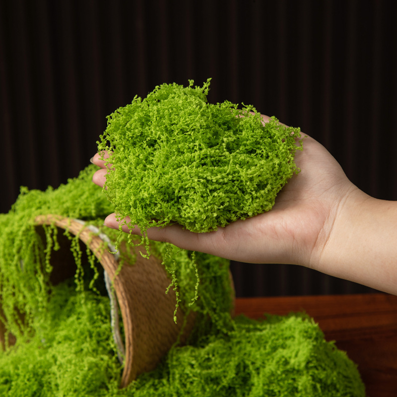 200g de mousse éternelle pour  - Preserved Moss Sheet avis et prix