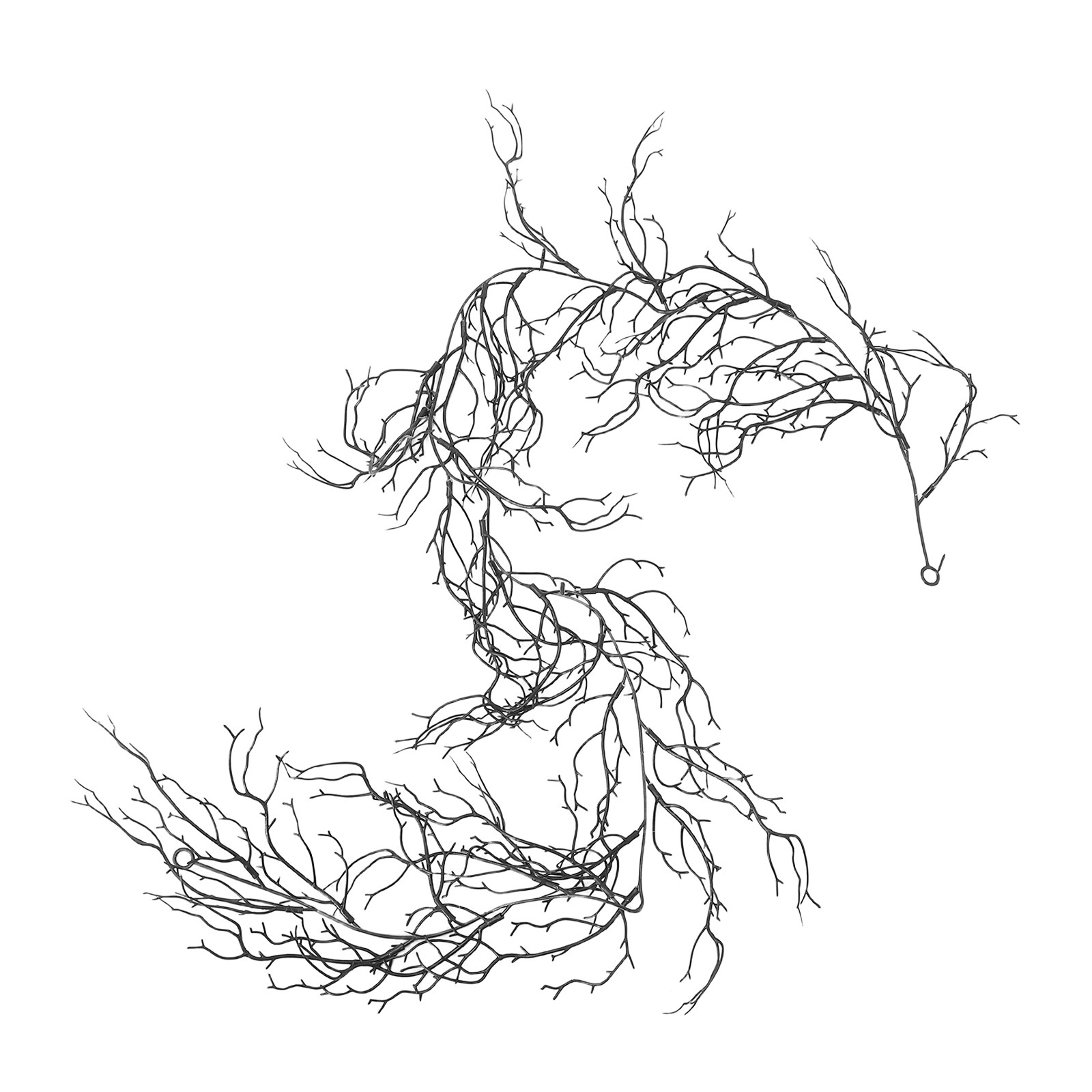 Branches de saule noires flexi - Branch Curly Willow avis et prix