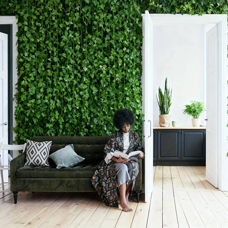 Guirlande de lierre de 19m/755 - Preserved Moss Sheet avis et prix