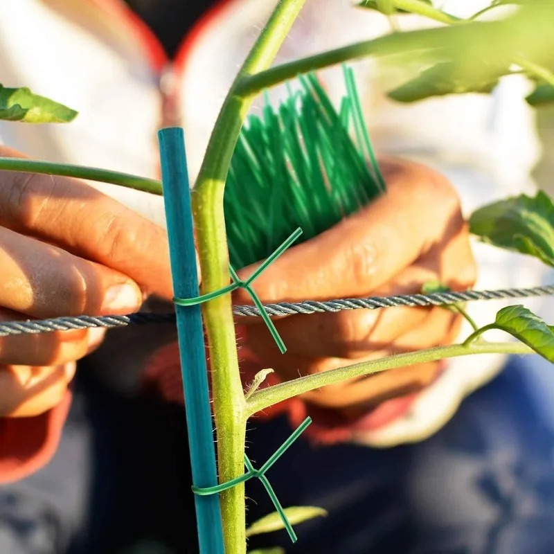 Bâtons de soutien pour plantes - Florist Supp avis et prix