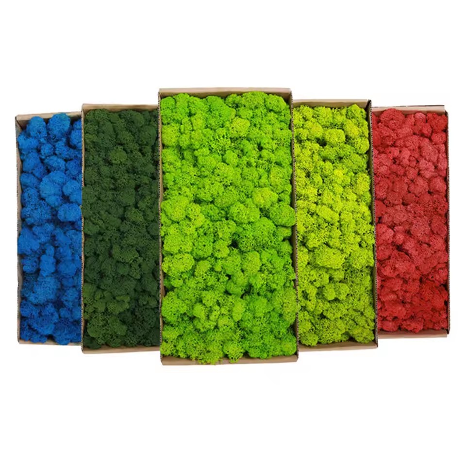 Plantes vertes artificielles e - Preserved Moss Sheet avis et prix