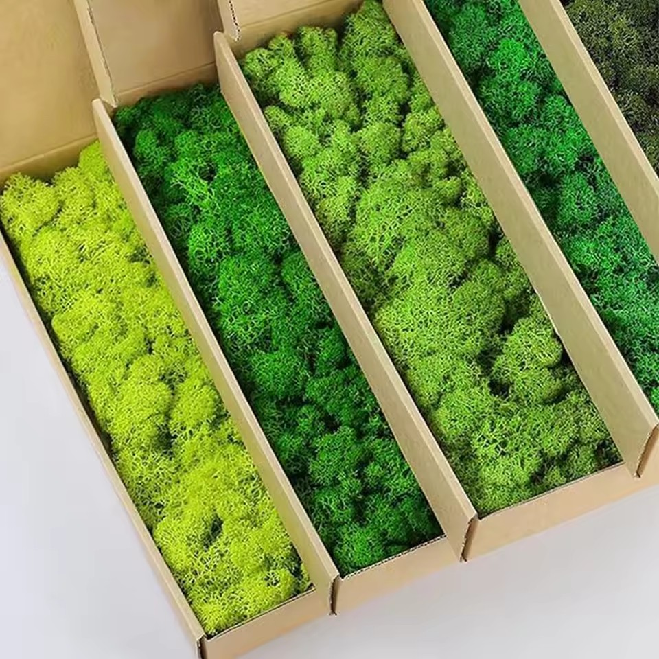 Plantes vertes artificielles e - Preserved Moss Sheet avis et prix