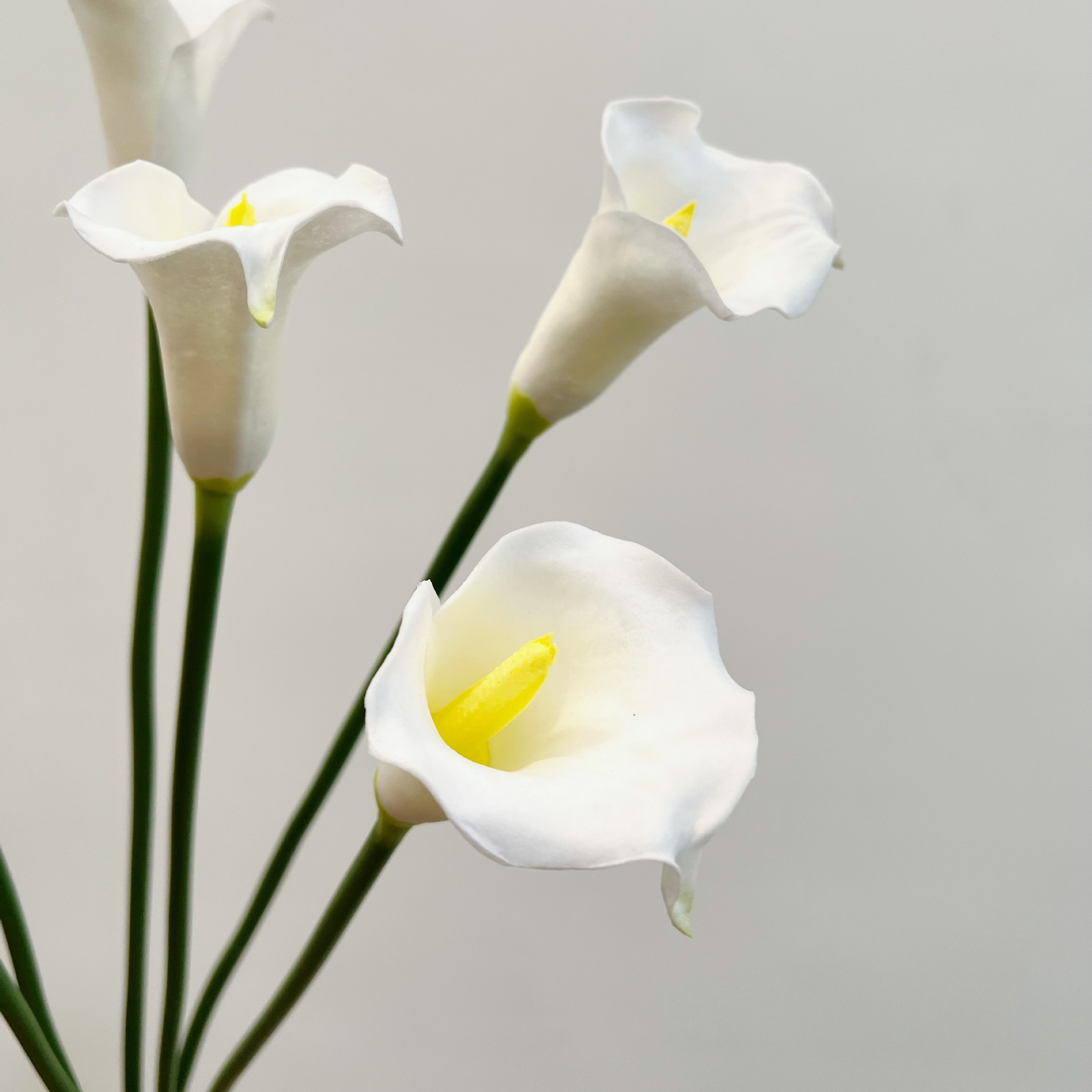 Fleur artificielle de lys call - Florist Supp avis et prix