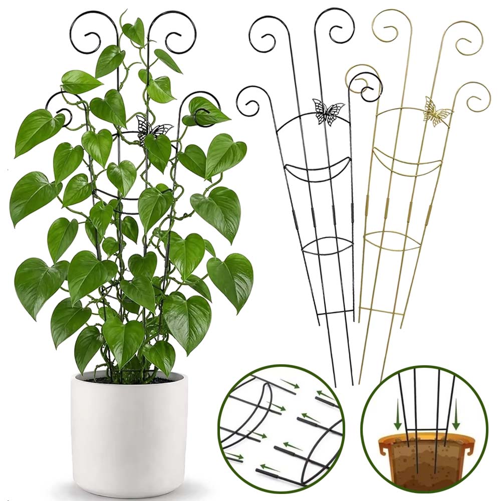 Treillis pour plantes grimpant - Florist Supp avis et prix