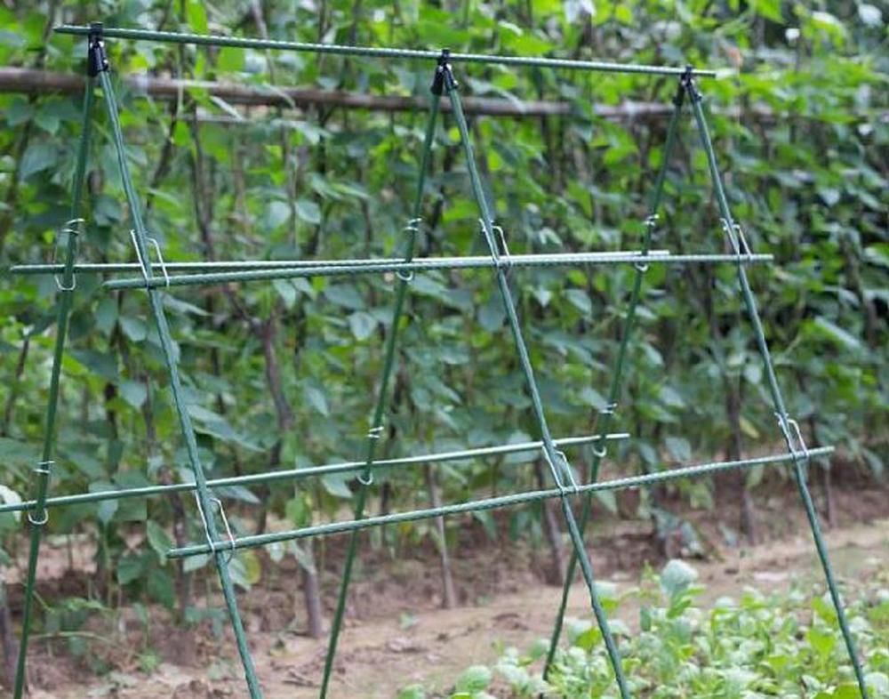 Treillis de jardin pour plante - Florist Supp avis et prix