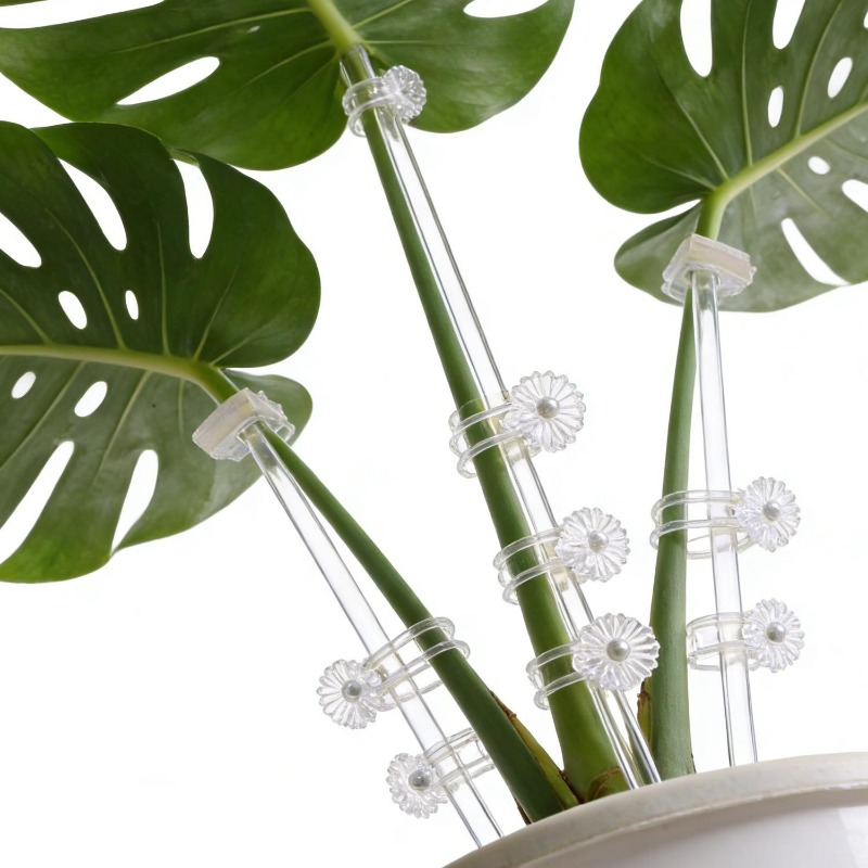 Tuteurs transparents réutilisa - Florist Supp avis et prix