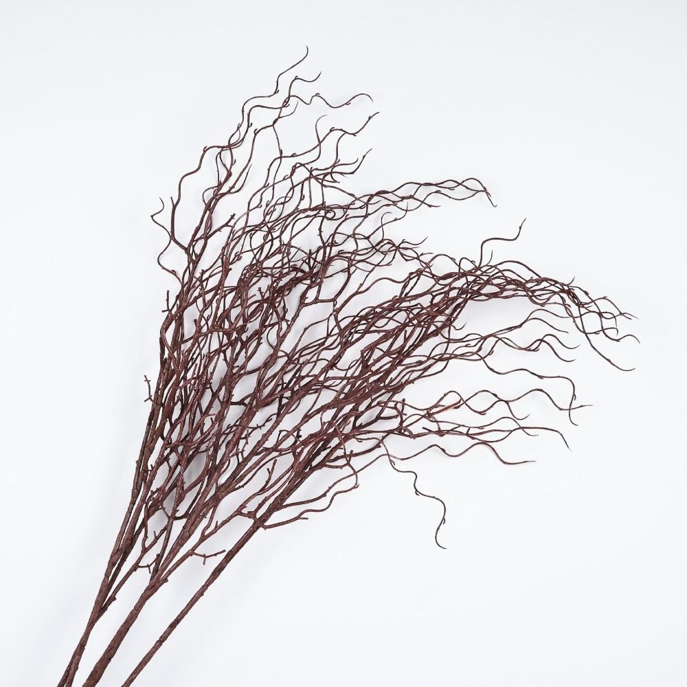 Branche d'herbe de la mer arti - Branch Curly Willow avis et prix