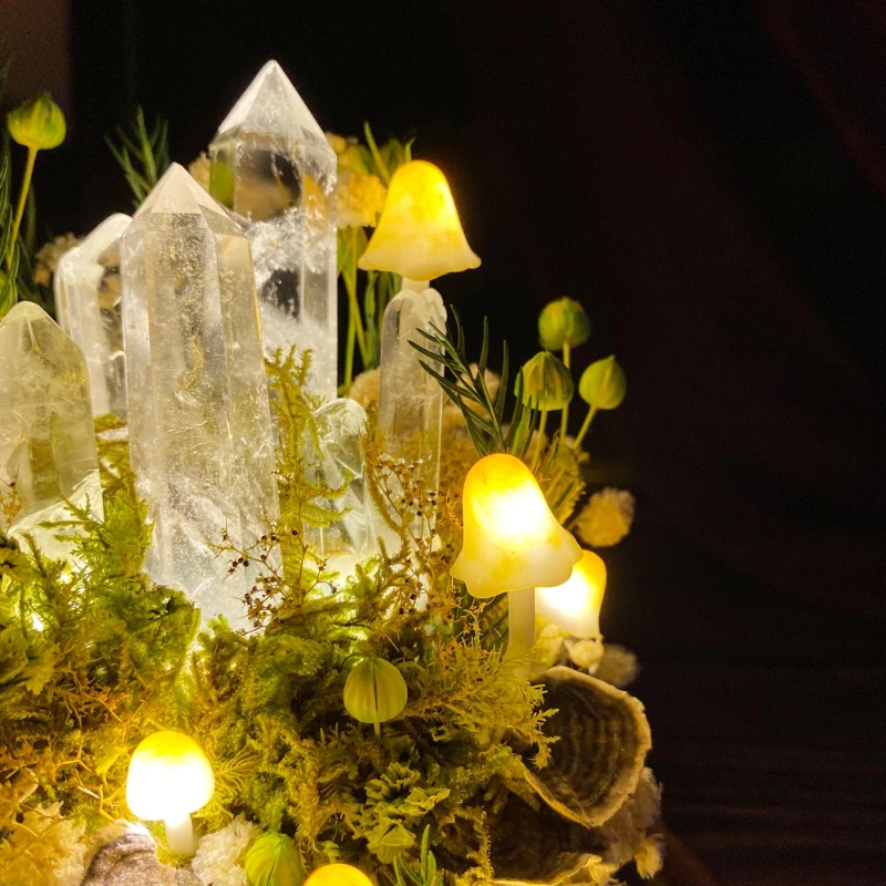 Lampe de nuit en forme de cham - Preserved Moss Sheet avis et prix