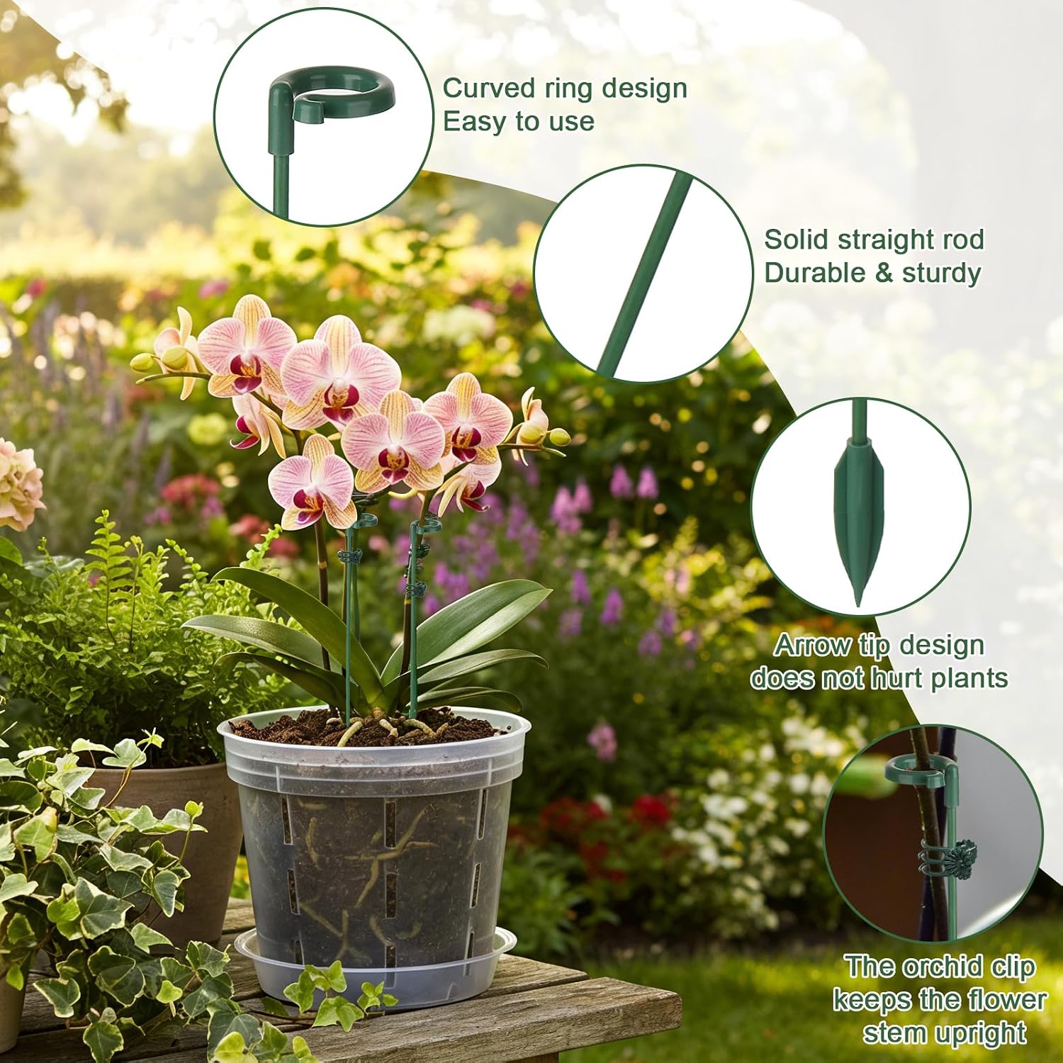 5/10 piquets de support pour p - Florist Supp avis et prix