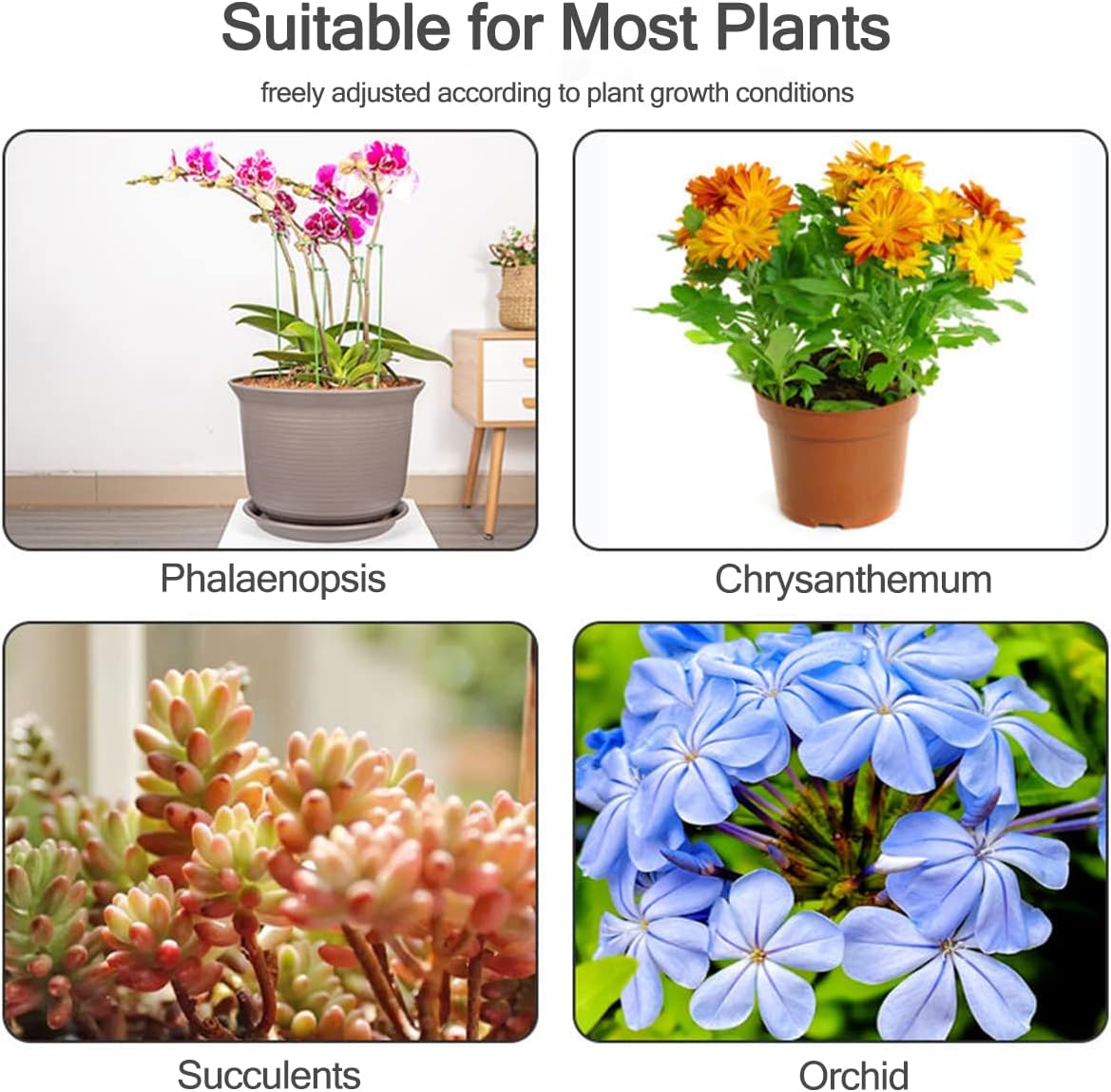 5/10 piquets de support pour p - Florist Supp avis et prix