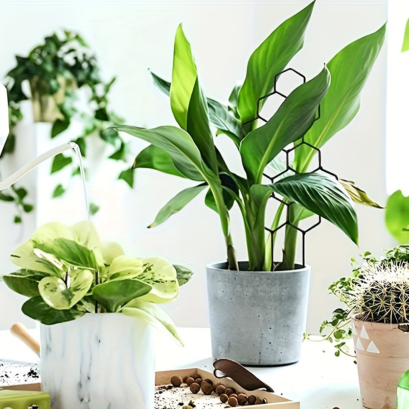 1 treillis pour plantes en for - Florist Supp avis et prix
